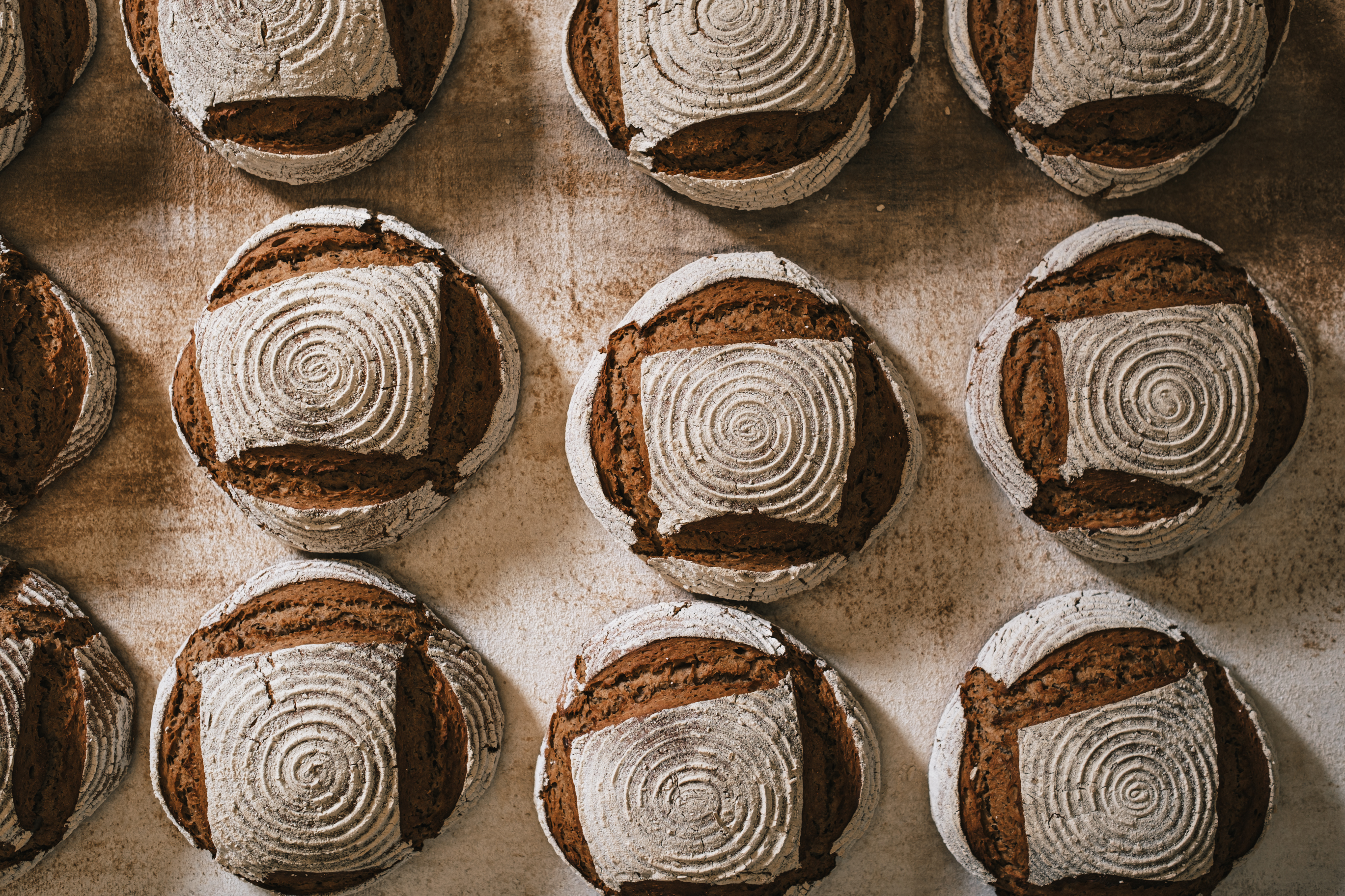 BIO Meister Wenzel - Öfferl